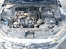 5NPD84LF4KH****** Repairable 2019 Hyundai Elantra in Clearwater