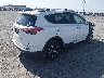 2T3WFREV6GW****** Salvamento y Destrozados 2016 Toyota RAV4 en Estado de Arkansas