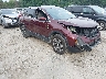 2HKRW2H88KH****** Salvamento y Destrozados 2019 Honda CR-V en Albany