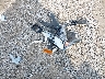 1G1ZD5ST6PF****** Destrozados 2023 Chevrolet Malibu en Estado de Kentucky
