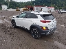 KM8K5CA38PU****** Salvamento y Reparables 2023 Hyundai Kona en Pittsburgh