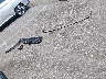 KM8KN4AE2NU****** Wrecked 2022 Hyundai IONIQ 5 in South Carolina State