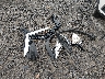 5N1BT3ABXPC****** Wrecked 2023 Nissan Rogue in New York State