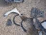 JN1BJ1CP5JW****** Salvage and Wrecked 2018 Nissan Rogue Sport in Houston North