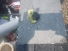 5Y2SP67059Z****** Salvamento 2009 Pontiac Vibe en Estado de Indiana