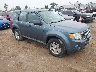 1FMCU0C74AK****** Salvage and Wrecked 2010 Ford Escape in Cincinnati