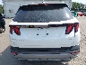 5NMJBCDE6TH****** Usados 2026 Hyundai Tucson