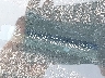 5NMJBCDE6TH****** Reparables 2026 Hyundai Tucson