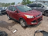 1FMCU0J96FU****** Salvage and Wrecked 2015 Ford Escape in Cleveland