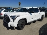 5TFLA5AB1RX****** Usados y Reparables 2024 Toyota Tundra en North Hollywood