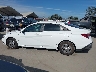KMHLL4DG1SU****** Repairable 2025 Hyundai Elantra in California State