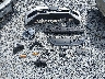 3VWJX7AT9DM****** Wrecked 2013 Volkswagen Beetle in Washington State