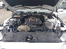 1FA6P8TH8L5****** Reparables 2020 Ford Mustang en Louisville North