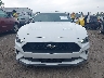 1FA6P8TH8L5****** Destrozados 2020 Ford Mustang en Estado de Kentucky