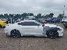 1FA6P8TH8L5****** Usados 2020 Ford Mustang en Estado de Kentucky