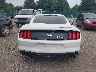 1FA6P8TH8L5****** Destrozados 2020 Ford Mustang