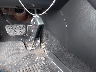 2T3F1RFV3LW****** Salvage 2020 Toyota RAV4 in Virginia State