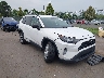 2T3F1RFV3LW****** Salvage and Wrecked 2020 Toyota RAV4 in Culpeper