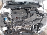 5XXGT4L3XKG****** Reparables 2019 Kia Optima en Grand Rapids