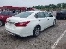 1N4AL3AP8JC****** Salvamento y Destrozados 2018 Nissan Altima en Estado de Carolina del Norte
