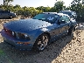 1ZVHT85H665****** Usados y Reparables 2006 Ford Mustang en Fort Myers