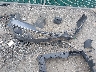 3VWD17AJ8FM****** Salvage and Wrecked 2015 Volkswagen Jetta in Virginia State