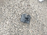 2HGFA16548H****** Wrecked 2008 Honda Civic in Massachusetts State