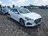 5NPE34AF9KH****** Salvage and Wrecked 2019 Hyundai Sonata in Culpeper