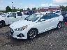 5NPE34AF9KH****** Used and Repairable 2019 Hyundai Sonata in Culpeper