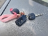 2T1BR30E36C****** Salvage 2006 Toyota Corolla in Maryland State