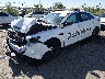 1FAHP2L81GG****** Usados y Reparables 2016 Ford Taurus Police Interceptor en Albuquerque