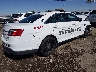 1FAHP2L81GG****** Salvamento y Destrozados 2016 Ford Taurus Police Interceptor en Estado de Nuevo México