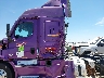 3AKJHPDV9NS****** Salvage 2022 Freightliner New Cascadia 116 in Texas State