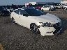 1N4AA6AP6GC****** Salvage and Wrecked 2016 Nissan Maxima in Lexington