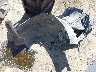 4S4BSAHCXH3****** Wrecked 2017 Subaru Outback in New Mexico State