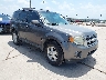 1FMCU0C79CK****** Salvage and Wrecked 2012 Ford Escape in Austin - IAA