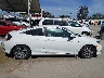 2HGFC4B69KH****** Salvamento 2019 Honda Civic