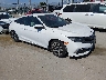 2HGFC4B69KH****** Salvamento y Destrozados 2019 Honda Civic en North Hollywood