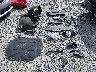 KNAE45LCXL6****** Used and Repairable 2020 Kia Stinger in Seattle