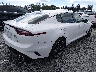 KNAE45LCXL6****** Salvage and Wrecked 2020 Kia Stinger in Washington State