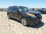 1FM5K8F87DG****** Salvamento y Destrozados 2013 Ford Explorer en Amarillo