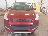 1FMCU0GX0GU****** Wrecked 2016 Ford Escape in Michigan State