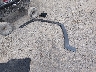 1C4RJYB69P8****** Wrecked 2023 Jeep Grand Cherokee 4xe in New York State