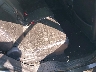 2FMHK6C86KB****** Wrecked 2019 Ford Flex in Albany
