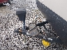 4X4TWDB23G7****** Salvage 2016 Forest River Wildwood in Rec Rides Online Exclusive