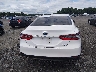 4T1C31AK1PU****** Destrozados 2023 Toyota Camry