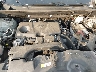 2T3A1RFV4PW****** Repairable 2023 Toyota RAV4 in Charlotte