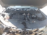 5NTJDDDF3RH****** Repairable 2024 Hyundai Santa Cruz in Knoxville