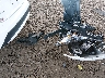 5YFEPMAE3MP****** Wrecked 2021 Toyota Corolla in Arizona State