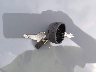 3NSG5W998RM****** Salvamento 2024 Polaris Xpedition en Estado de Virginia Occidental